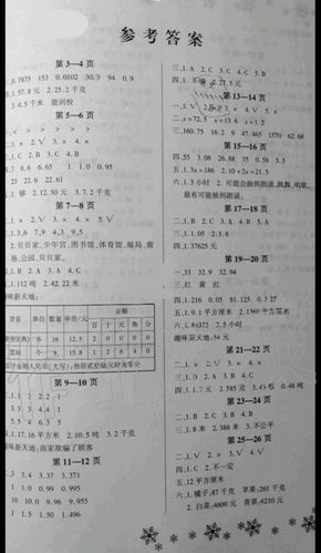 中国vs美国数学作业答案