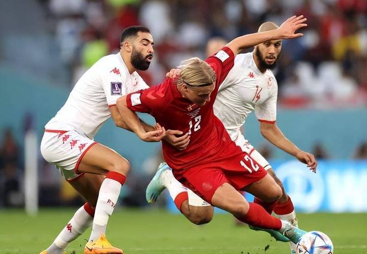 丹麦vs突尼斯买突尼斯赢