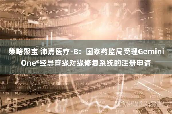 策略聚宝 沛嘉医疗-B：国家药监局受理GeminiOne®经导管缘对缘修复系统的注册申请