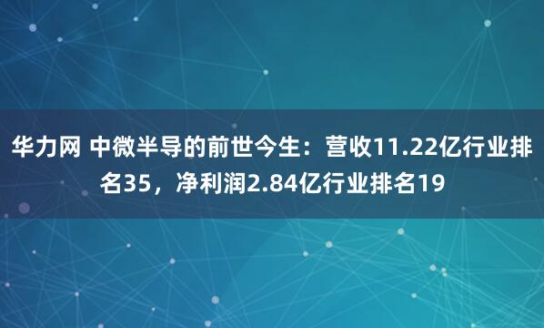 华力网 中微半导的前世今生：营收11.22亿行业排名35，净利润2.84亿行业排名19