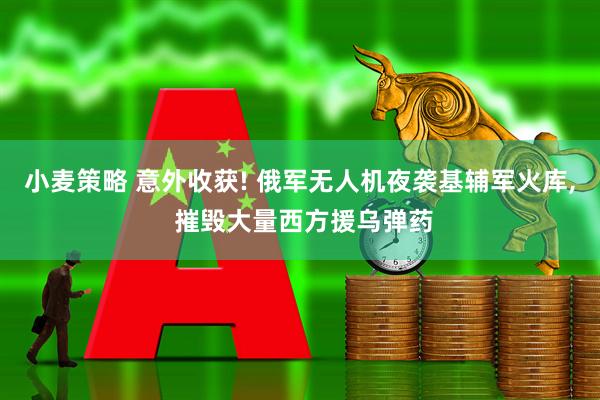 小麦策略 意外收获! 俄军无人机夜袭基辅军火库, 摧毁大量西方援乌弹药